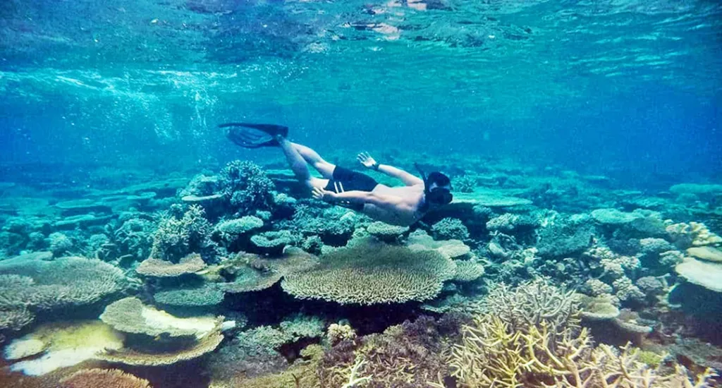Wisata Laut Pulau Togean: Pesona Eksotis di Area Indonesia Timur, Simak Ulasan Lengkapnya!