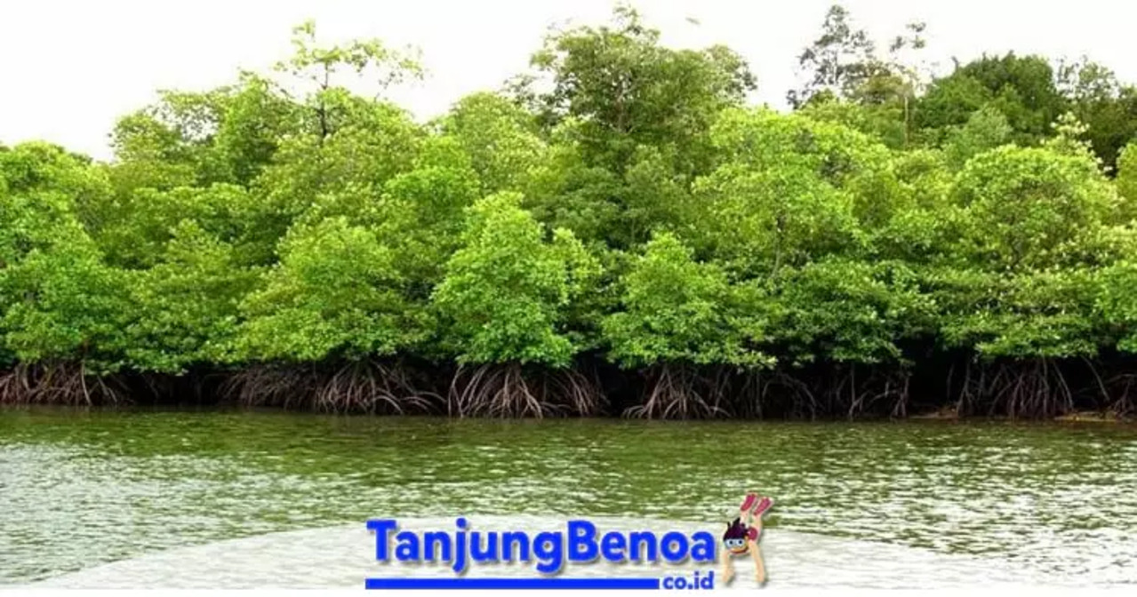 Sebelum ke Bali, Wajib Tahu! 4 Fakta Penting tentang Tanjung Benoa