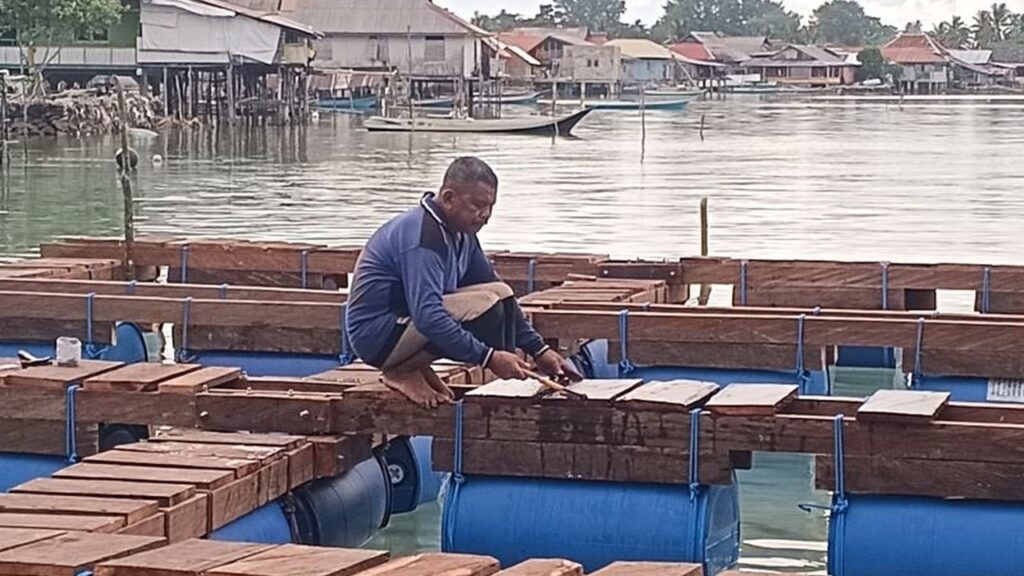 Keindahan Tersembunyi Wisata Kampung Kerapu, Panorama Alam Memukau dan Budidaya Ikan Menggiurkan!