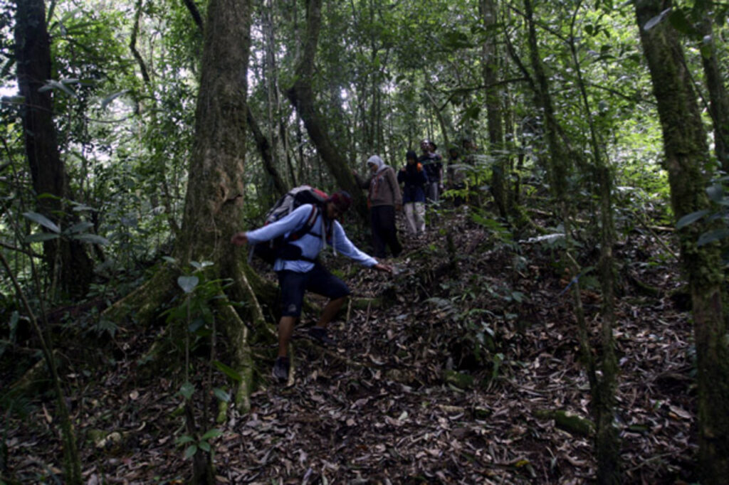 Berani Naik? Keindahan Puncak Gunung Seulawah Agam Ini Tak Main Main