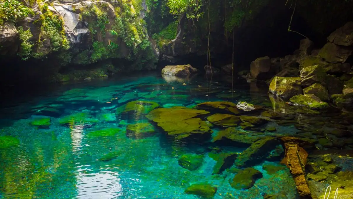 Menikmati Ketenangan Objek Wisata Telaga Sunyi Purwokerto yang Menenangkan