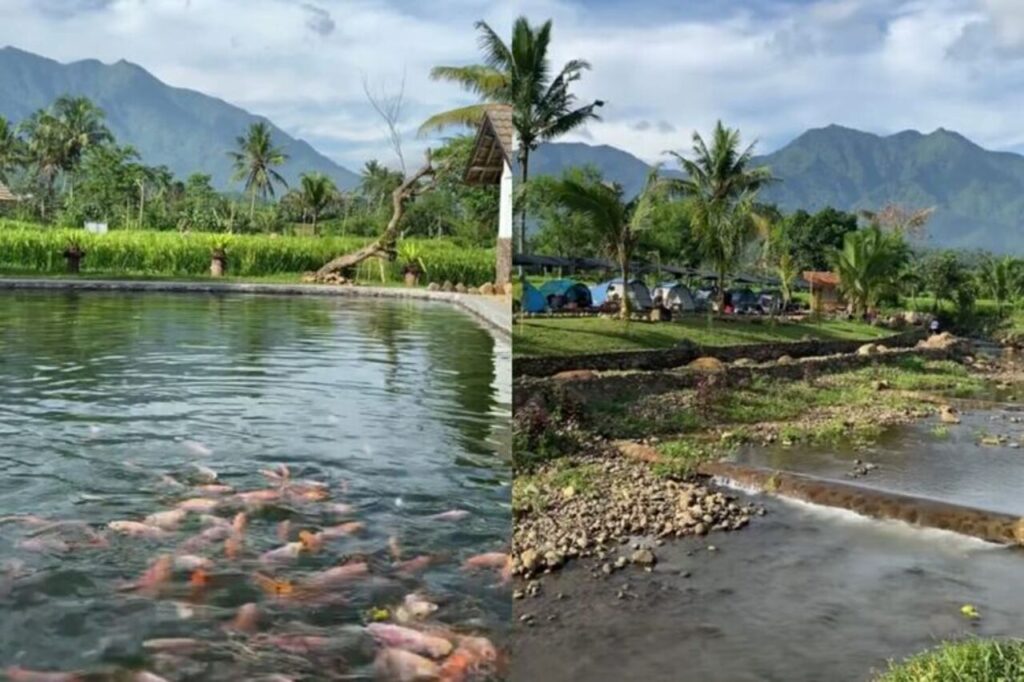 Seru Banget! Rasakan Sensasi Berkemah di Kampung Ikan Lembah Tanjung Subang