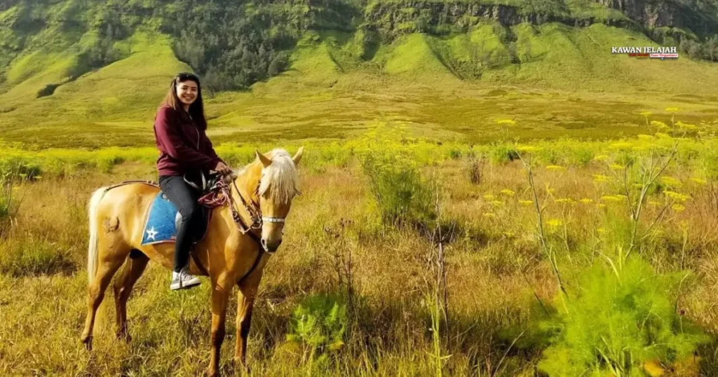 Serasa di Negeri Dongeng! Bukit Teletubbies Bromo Ini Bikin Mata Gak Mau Kedip