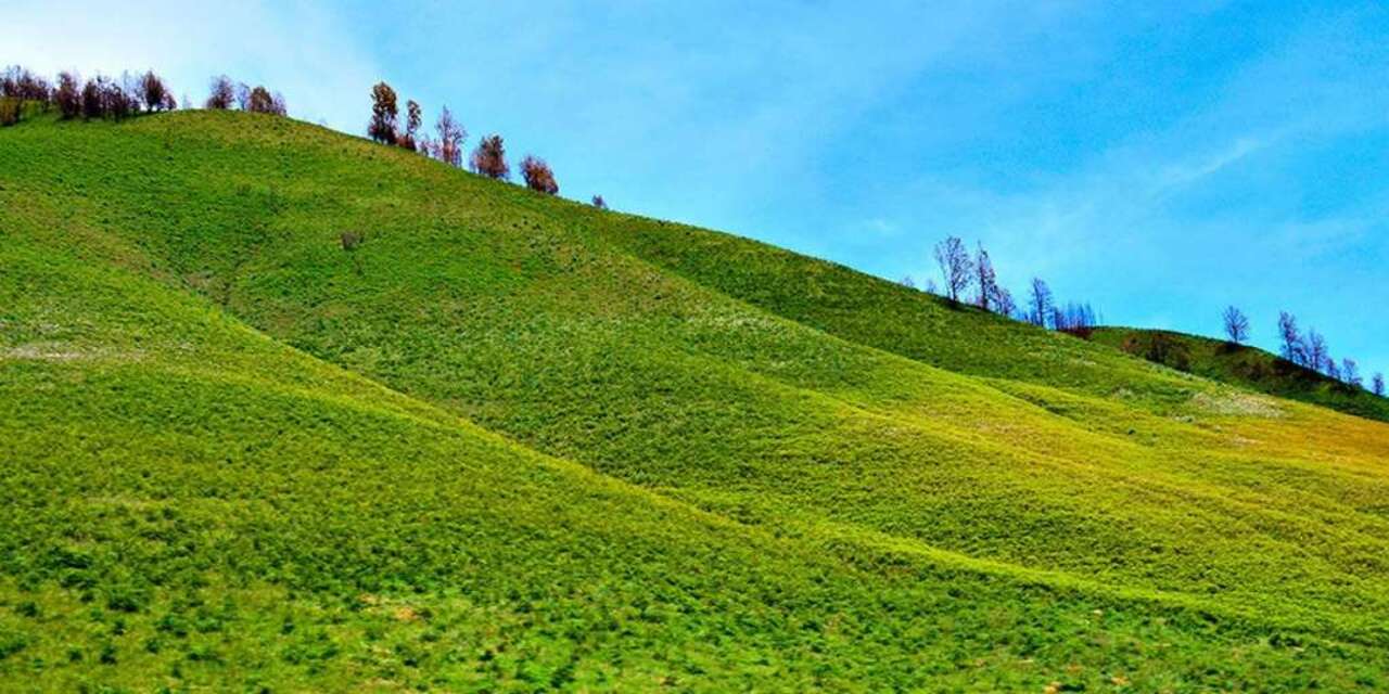 Serasa di Negeri Dongeng! Bukit Teletubbies Bromo Ini Bikin Mata Gak Mau Kedip