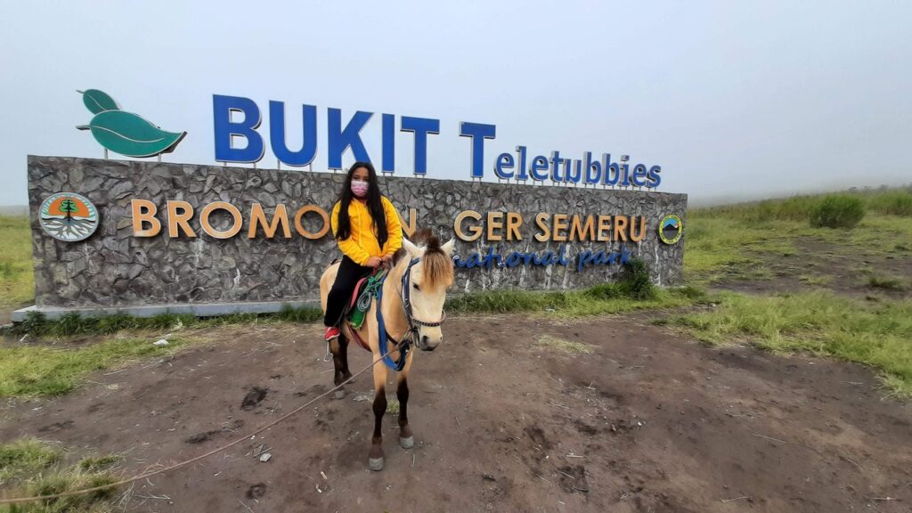 Serasa di Negeri Dongeng! Bukit Teletubbies Bromo Ini Bikin Mata Gak Mau Kedip