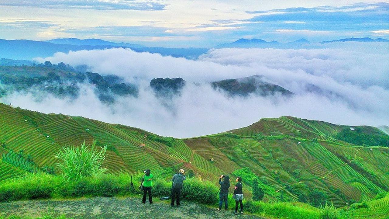 Pesona Lembah Panyaweuyan di Majalengka, Wisata Alam Ngehits dengan Pemandangan Terasering Memukau