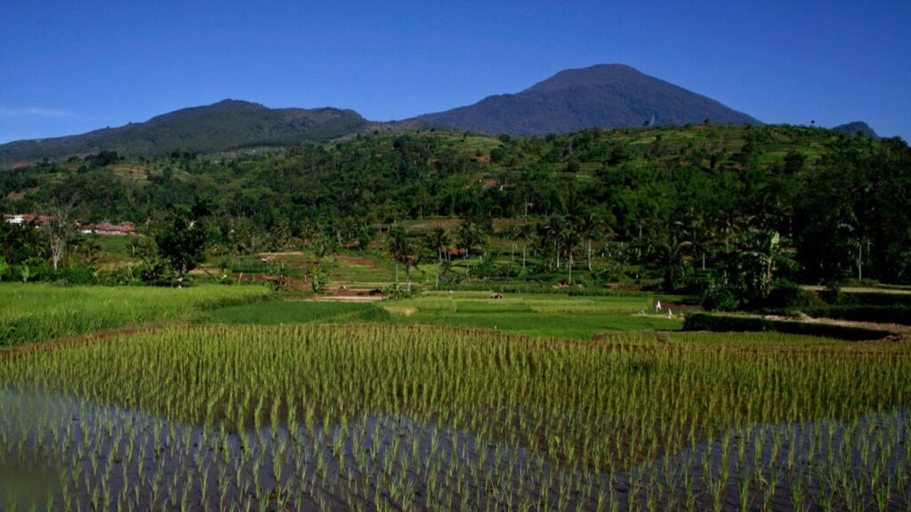 Pesona Lembah Panyaweuyan di Majalengka, Wisata Alam Ngehits dengan Pemandangan Terasering Memukau