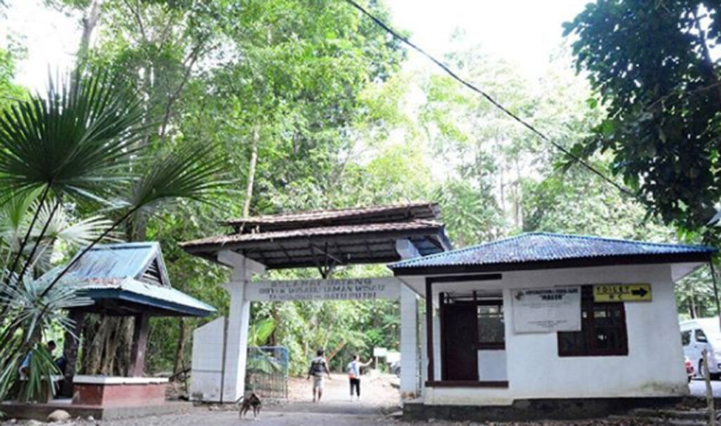 Menjelajah Gunung Tangkoko, Rumah Rahasia Satwa Endemik Sulawesi