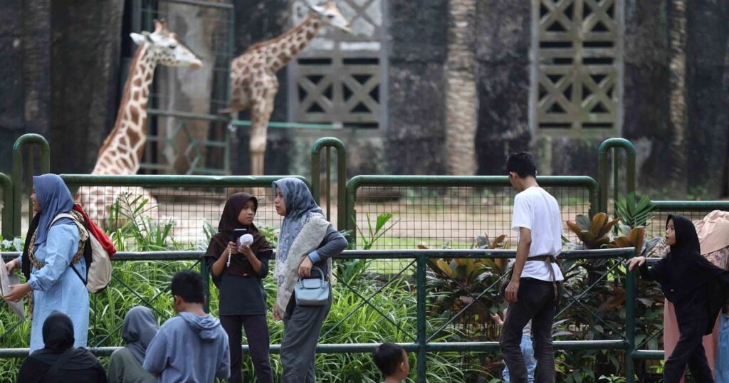 Taman Margasatwa Ragunan Diprediksi Full Sesak di H+7 Lebaran