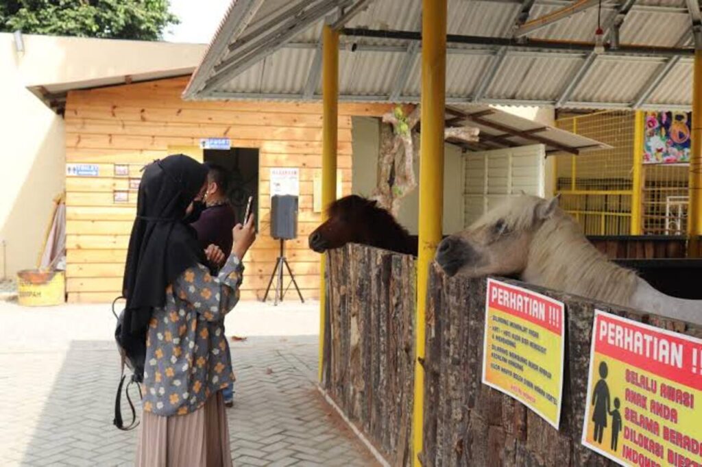 Binjai Equestrian Jadi Tempat Berkuda Edukatif yang Bikin Pengunjung Ketagihan!