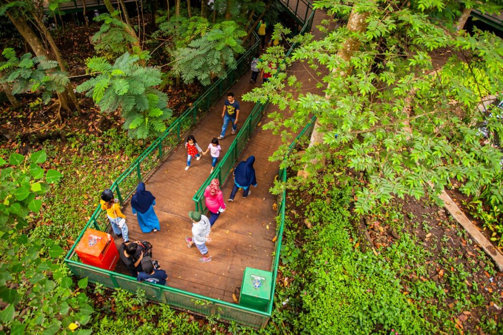 Di Balik Ramainya Bandung, Hutan Babakan Siliwangi Hadirkan Nuansa Alam yang Menyegarkan