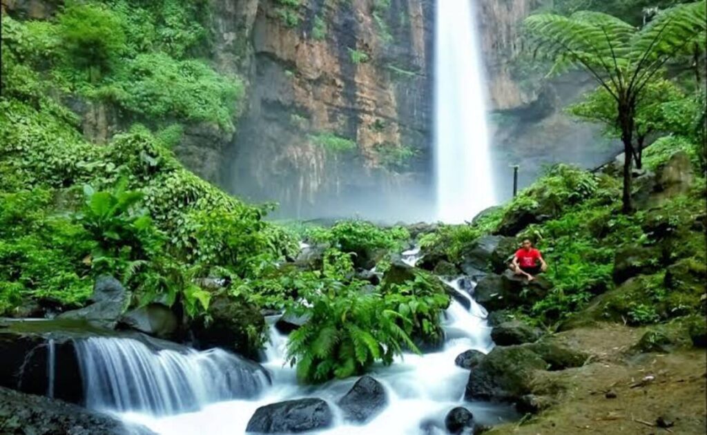 Bikin Takjub Sekali Lihat, Ini Panduan Lengkap Jelajah Air Terjun Kapas Biru Lumajang