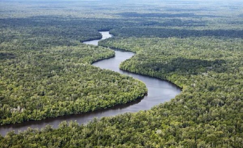 Kabar Baik untuk Pariwisata! Taman Nasional Sembilang Bisa Tarik Lebih Banyak Turis